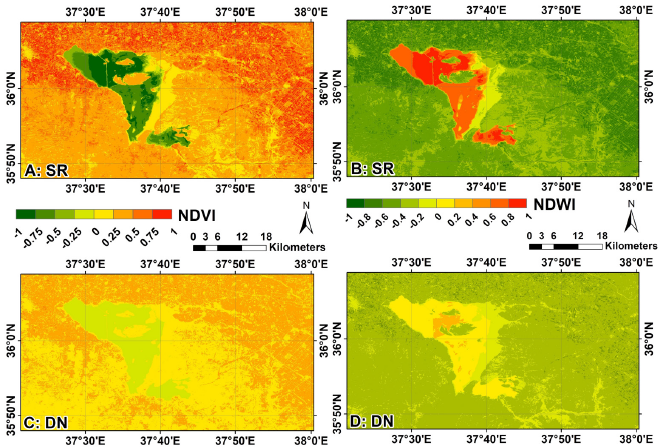 Evaluating the impact of digital number to surface reflectance conversion on the accuracy of NDVI and NDWI: A case study of Sabkhat Al-Jabbul, Syria