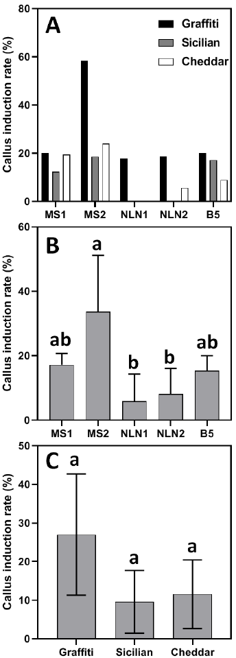 Evaluation of anther culture and callus induction efficiency in three cauliflower genotypes using different media compositions