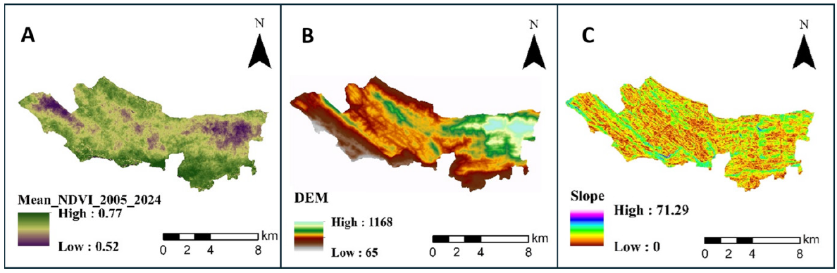 Stable but stressed: Investigating vegetation dynamics in the Sinharaja Rainforest using satellite NDVI and climate-driven machine learning models