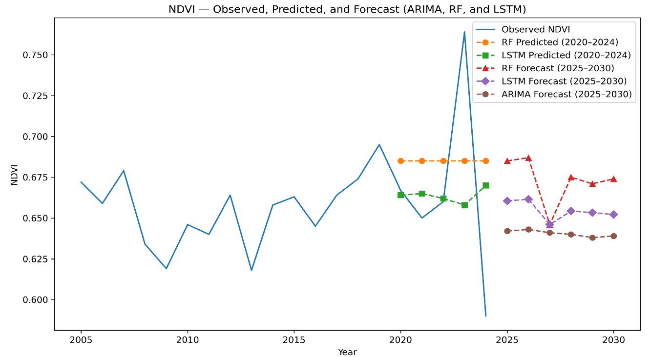 Stable but stressed: Investigating vegetation dynamics in the Sinharaja Rainforest using satellite NDVI and climate-driven machine learning models