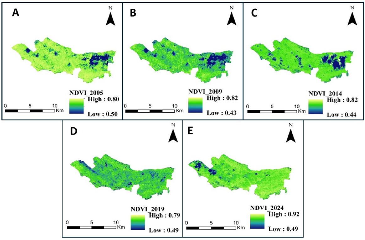 Stable but stressed: Investigating vegetation dynamics in the Sinharaja Rainforest using satellite NDVI and climate-driven machine learning models