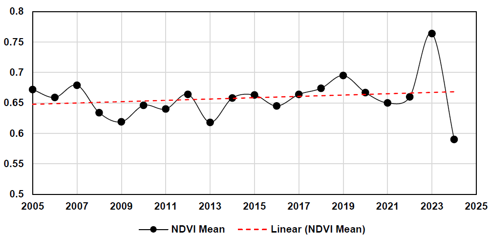 Stable but stressed: Investigating vegetation dynamics in the Sinharaja Rainforest using satellite NDVI and climate-driven machine learning models