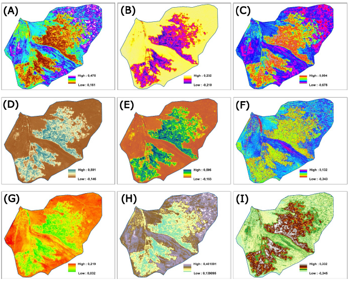 Monitoring oasis desertification in southern Morocco: a comparative analysis of machine learning algorithms