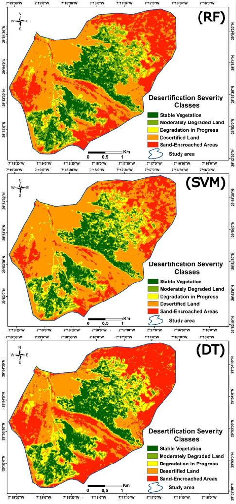 Monitoring oasis desertification in southern Morocco: a comparative analysis of machine learning algorithms