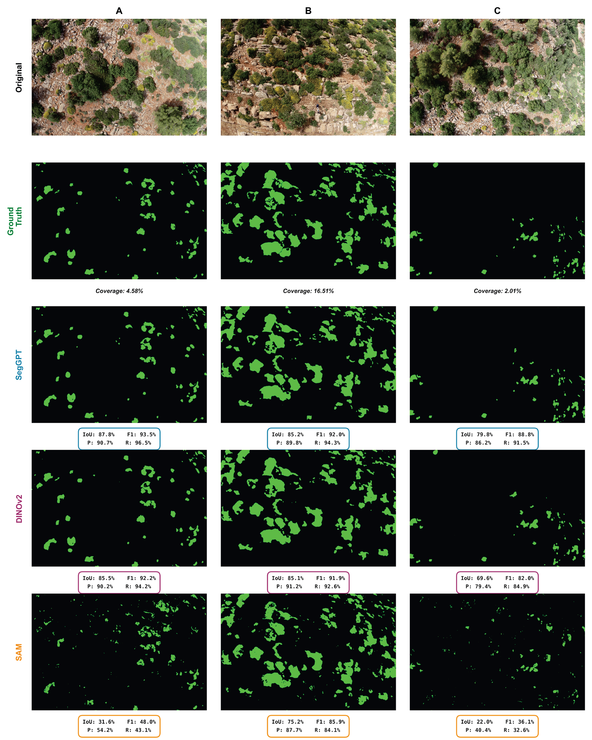 Few-shot semantic segmentation of UAV imagery for plant conservation: A systematic comparison of foundation models for Euphorbia resinifera mapping